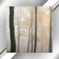 Fog Photo Frames on 9Apps