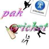 pak cricket