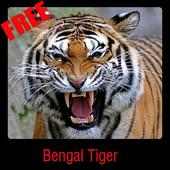 Bengal Tiger on 9Apps