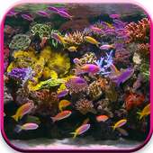 Aquarium on 9Apps