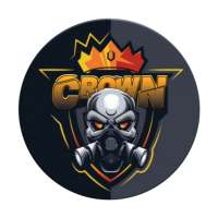 CROWN LOCAL VPN
