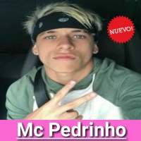 Mc Pedrinho - todas as músicas mp3 sem internet on 9Apps