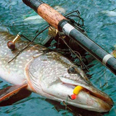 Ловит рыбу иконка