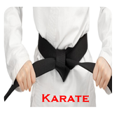 Karate icon