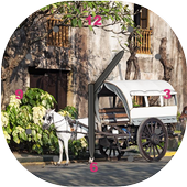 Anime Horse Clock Widget icon