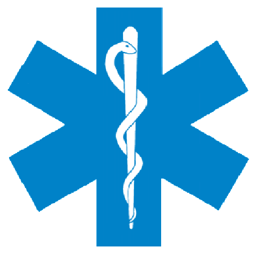 Ambulance  icon