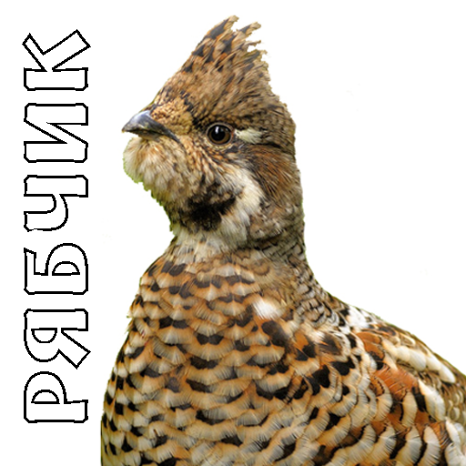 Call on hazel grouse icon