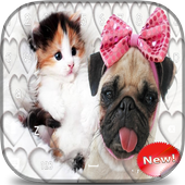 Dog and Cat Keyboard Theme icon