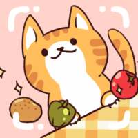 Food and cat