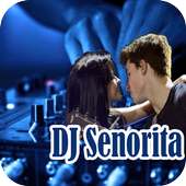 DJ Senorita
