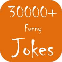 Funny Jokes and Stories