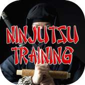 Ninjutsu Technique and Trainings