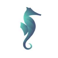 Beynex: Beyin Egzersizleri