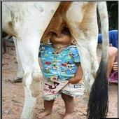 Funny pictures 3 icon