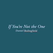 If You're Not the One Lyrics icon