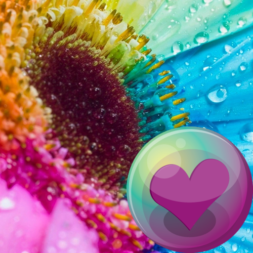 Подсолнухи Обои иконка