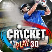 Cricket spielen 3D