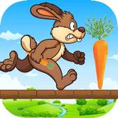 Bunny run 2