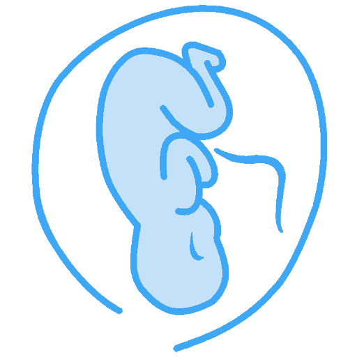Pregnancy Calculator icon