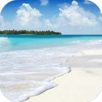 Beach Video Live Wallpaper on 9Apps