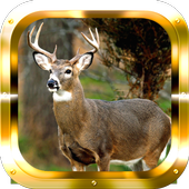 Sniper Deer Hunter icon