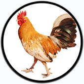 farm animals for babies icon