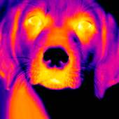 Thermal HD Vision: Best Thermal HD Vision on 9Apps