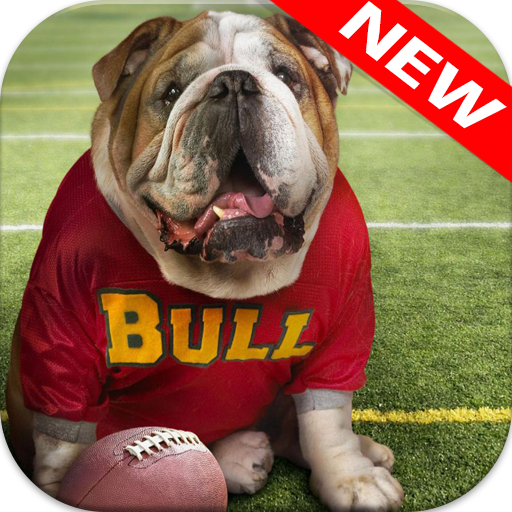 🐕 Bulldog Wallpapers - Dog Wallpapers icon
