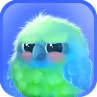 Kiwi The Parrot on 9Apps