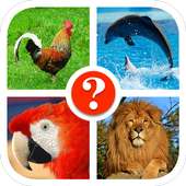 Animals Quiz