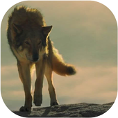 Alpha Movie 2018 Photo Frames icon