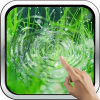 Magic Touch: Grass Live Wallpaper on 9Apps
