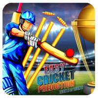 Easy cricket Prediction 2019