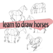 learn to draw horses icon