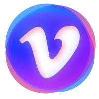VidChat Stranger Online Video Chat