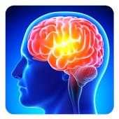 Improve Your Memory icon