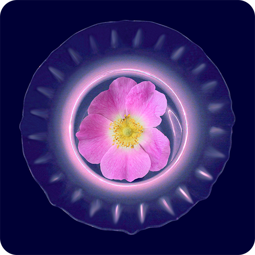 Beautiful Pictures icon