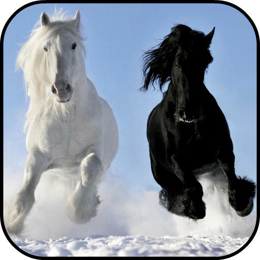 Horses Lock Screen 4K Wallpaper أيقونة