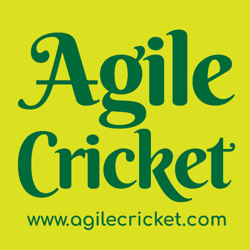 Daily Stand-Up Game icon