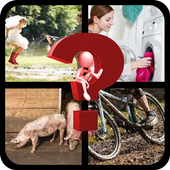 4 Pics 1 Word - Challenge icon