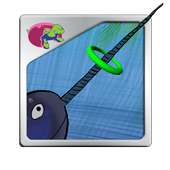 Narwhal Bubble Rings