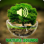 Nature Sounds icon