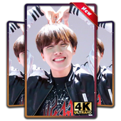 BTS J-Hope Wallpapers HD icon