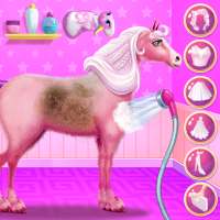 Princess Horse Caring