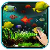 Aquarium Live Wallpaper