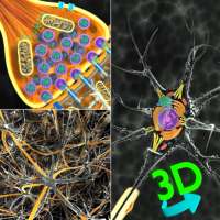 3D Biology   on 9Apps