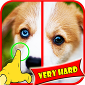 Find Difference Dog Games icon