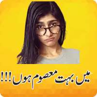 Funny Urdu Stickers WASticker
