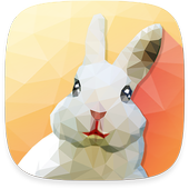 Wonderland Girl Theme icon