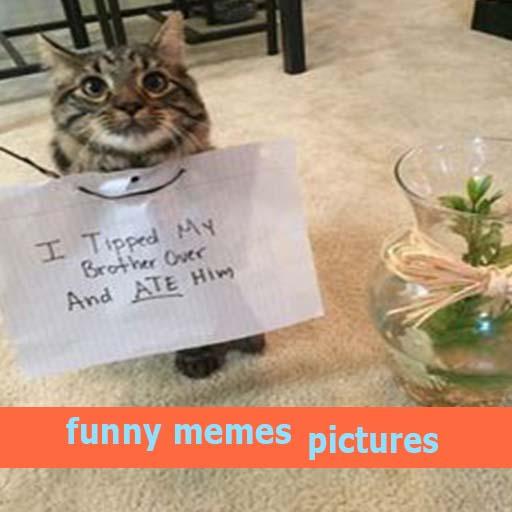 funny memes pictures icon